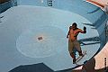 Mastino  Skate